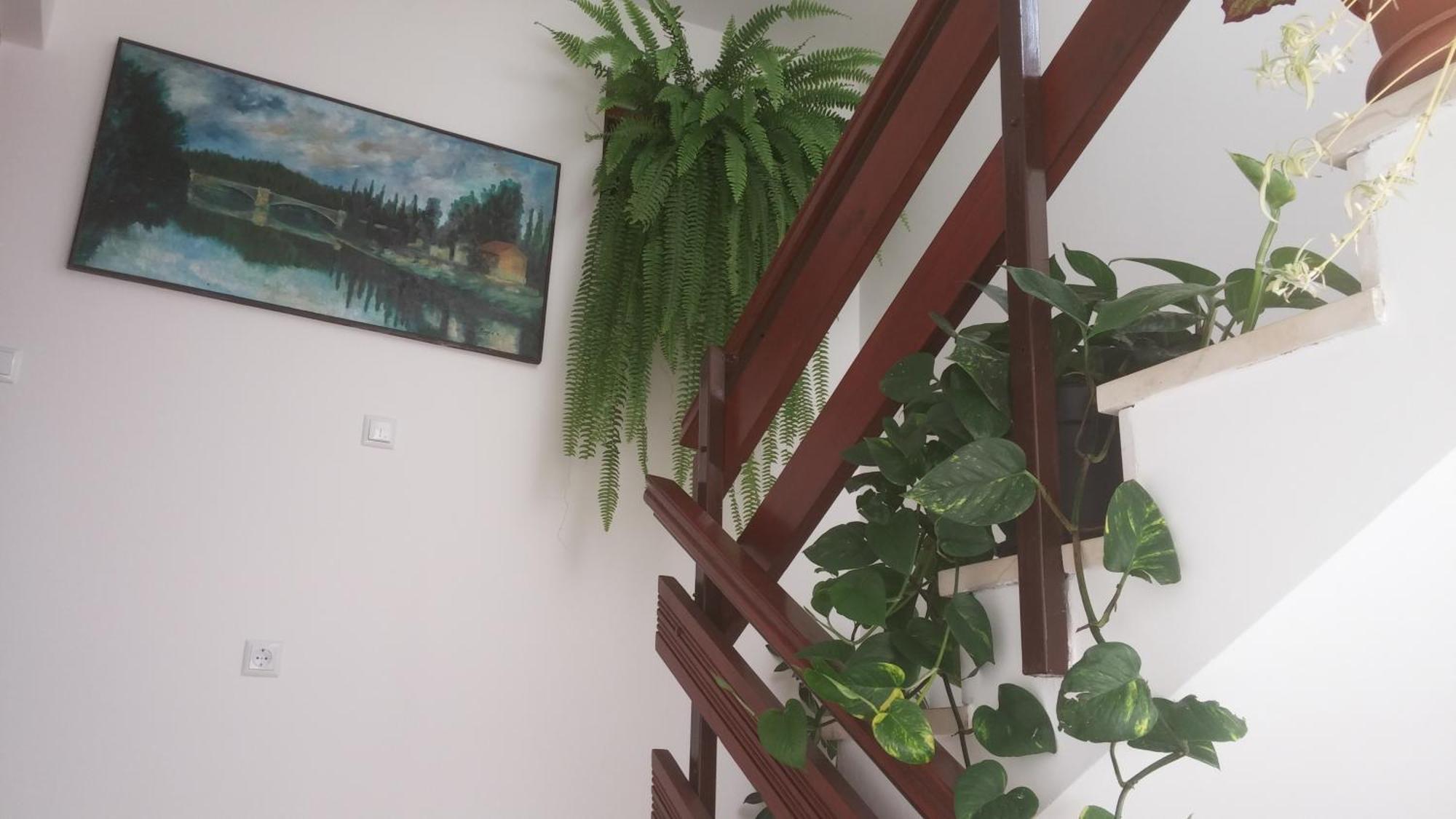 Apartments Roncevic ザダル 部屋 写真