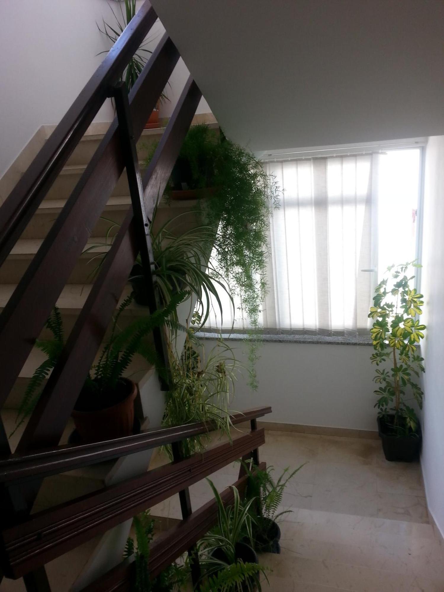 Apartments Roncevic ザダル エクステリア 写真